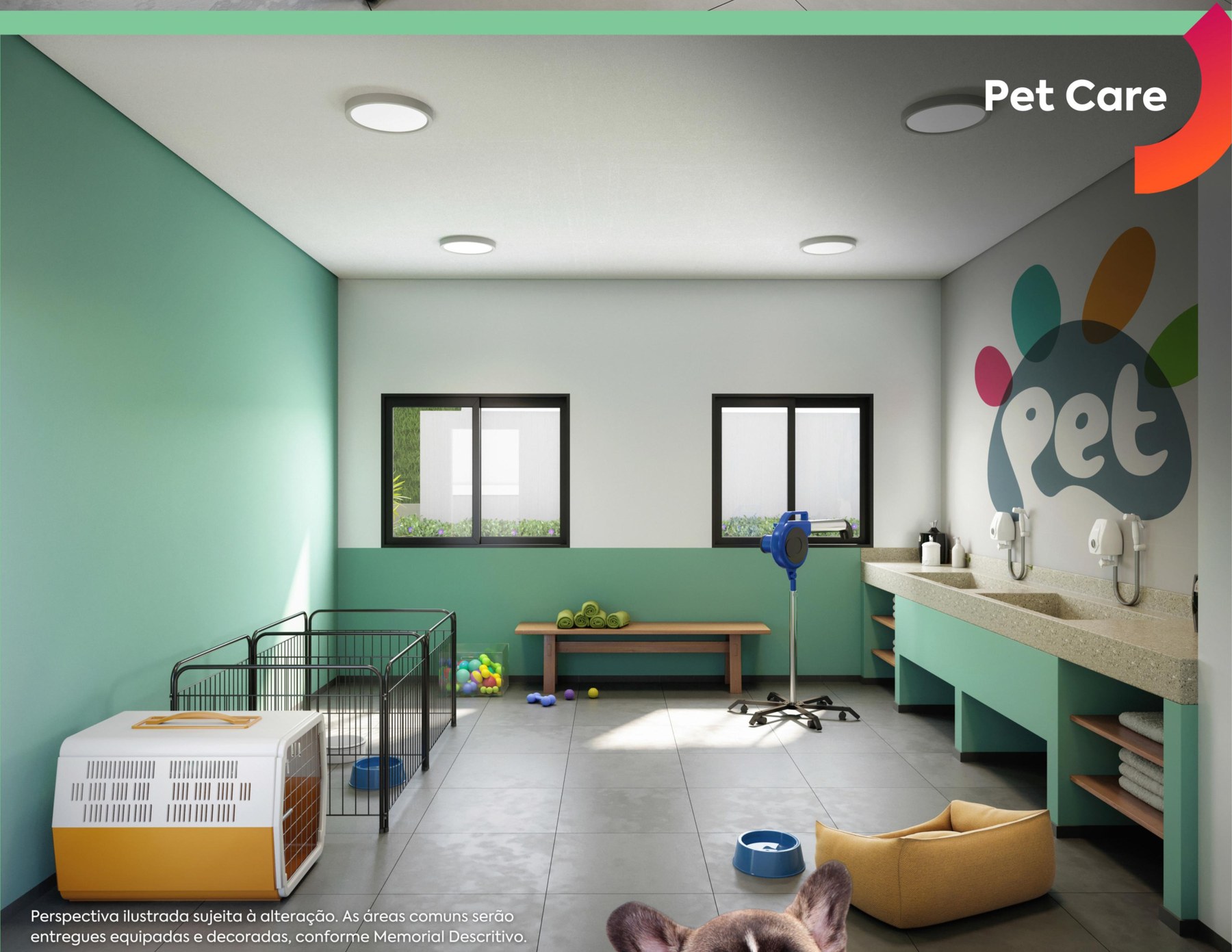 Pet care — Via Cocá