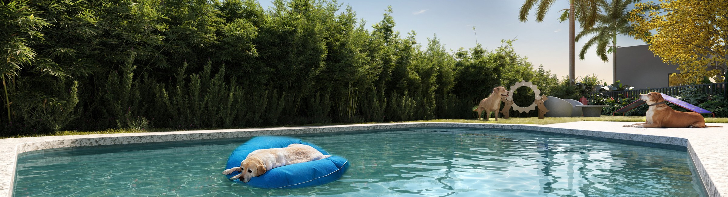 Pet club — LIV Stay Residence