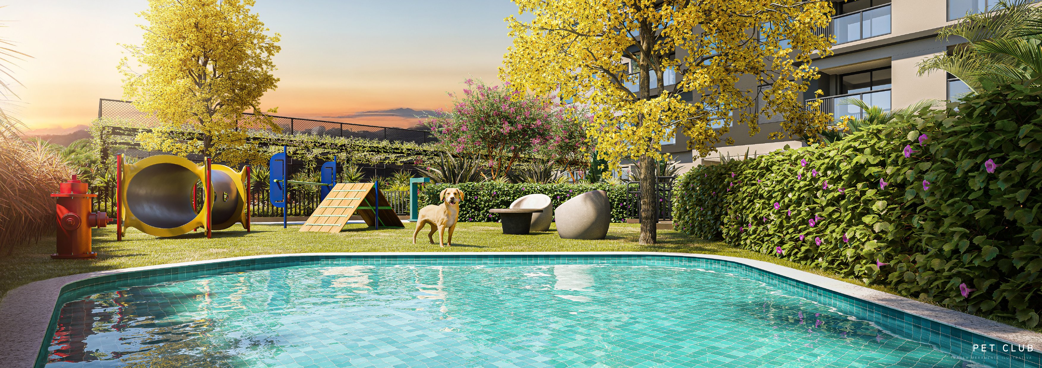 Pet club — Beyond Residence