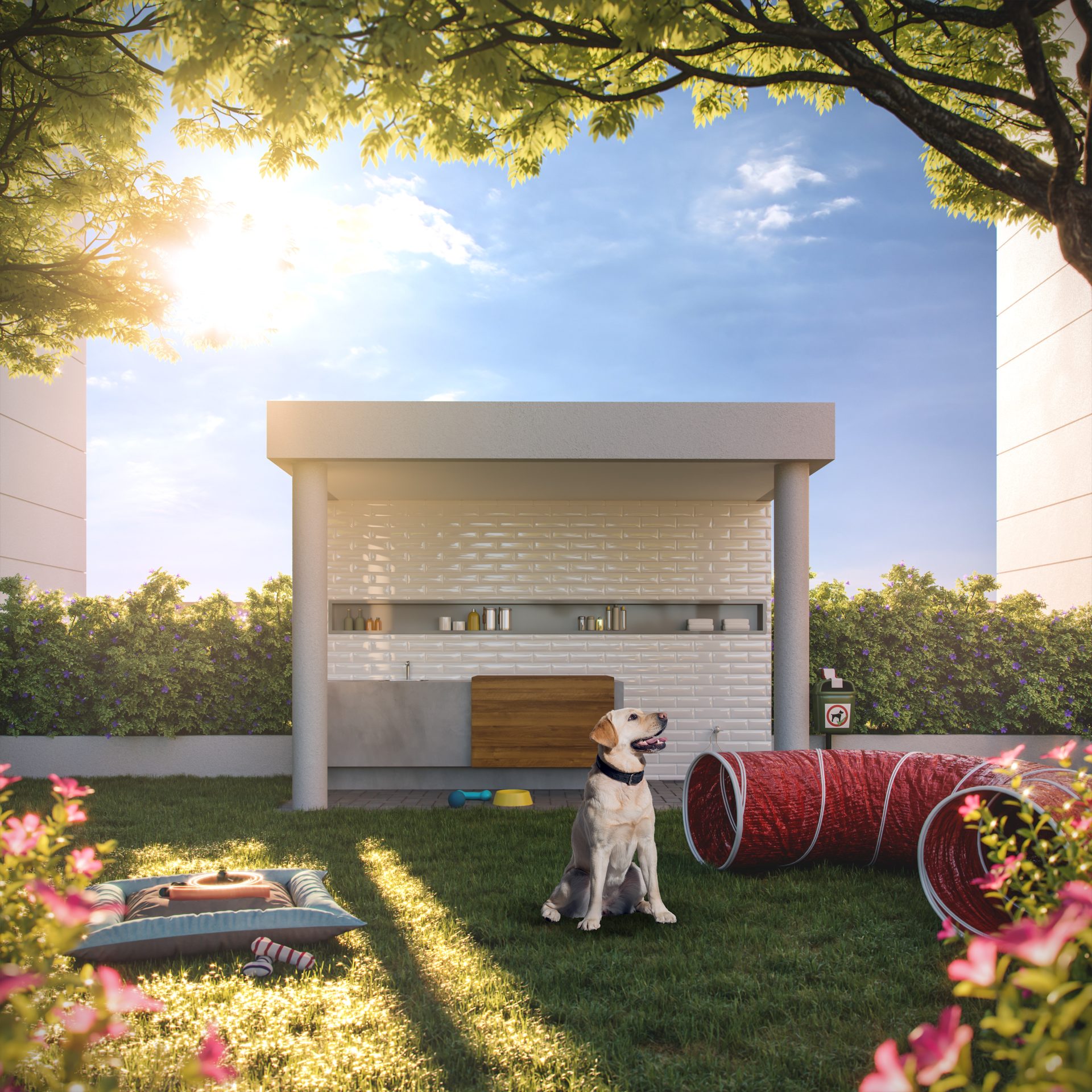 Maxim Home Club Pet Place — Maxim Home Club